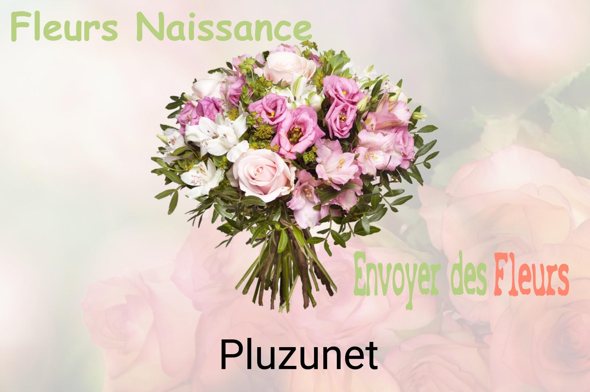Bouquet de fleurs de naissance livré à Pluzunet