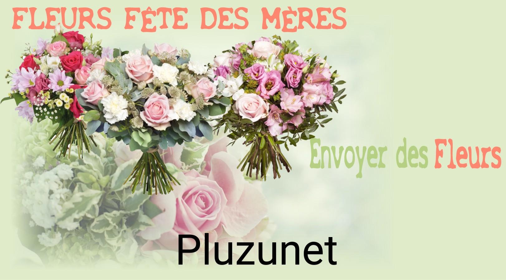 Bouquet de Fête des Mères livré à Pluzunet